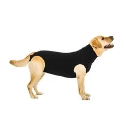 Suitical Recovery Suit Hond - Zwart 29 Suitical Recovery Suit Hond - Zwart -Happy Paws Verkoop 030c0c95b2225b3f51d0531451c332d22240a6793456a94550dc3c51446b2a0a 4