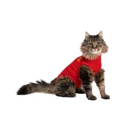 Medical Pet Shirt Kat -Happy Paws Verkoop 0bc6e32c1f32fea22340f858040f36b4a63d49e934b1aceb5420a0dae2902429 3