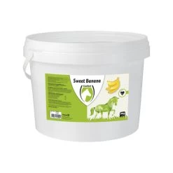 Excellent Sweet Blocks