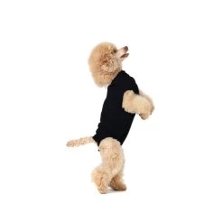 Suitical Recovery Suit Hond - Zwart 23 Suitical Recovery Suit Hond - Zwart -Happy Paws Verkoop 16ee5ab3de3032da0815f94f422bc74b5303c2b1de9b7828b2b014e17153fc83 3