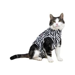 Medical Pet Shirt Kat Zebra 9 Medical Pet Shirt Kat Zebra -Happy Paws Verkoop 22c79dccff416a4868d62db30a4a3ad92ff815ca424aaa1b510bb0a405277ebe 3
