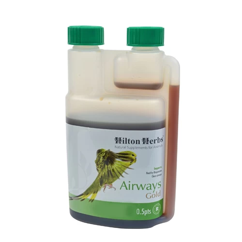 Hilton Herbs Airways Gold For Birds 2 Hilton Herbs Airways Gold For Birds - Afbeelding 2