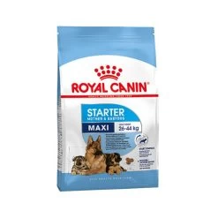Royal Canin Maxi Starter Mother & Babydog - Hondenvoer