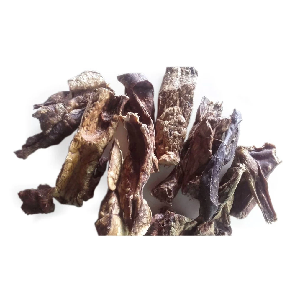 Competition Lamslongen 1 Competition Lamslongen