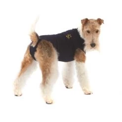 Medical Pet Shirt Hond 24 Medical Pet Shirt Hond -Happy Paws Verkoop 4824e31aaaa9e8ef29ea0a9e3386e7e1c0120620d686ccc21387ee33c2deeecf 3
