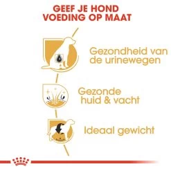 Royal Canin Bichon Frisé Adult - Hondenvoer 13 Royal Canin Bichon Frisé Adult - Hondenvoer -Happy Paws Verkoop 4wFWaufTXwZ7HGQCAWJ4QuQUL7VBVA metaUm95YWwtQ2FuaW4tQmljaG9uLUZyaXPDqS1BZHVsdF8wMy5qcGc