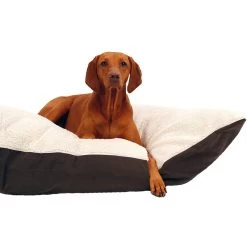 51 Degrees North Sheep Pillow -Happy Paws Verkoop 51 degrees north sheep pillow 208970 1000 none