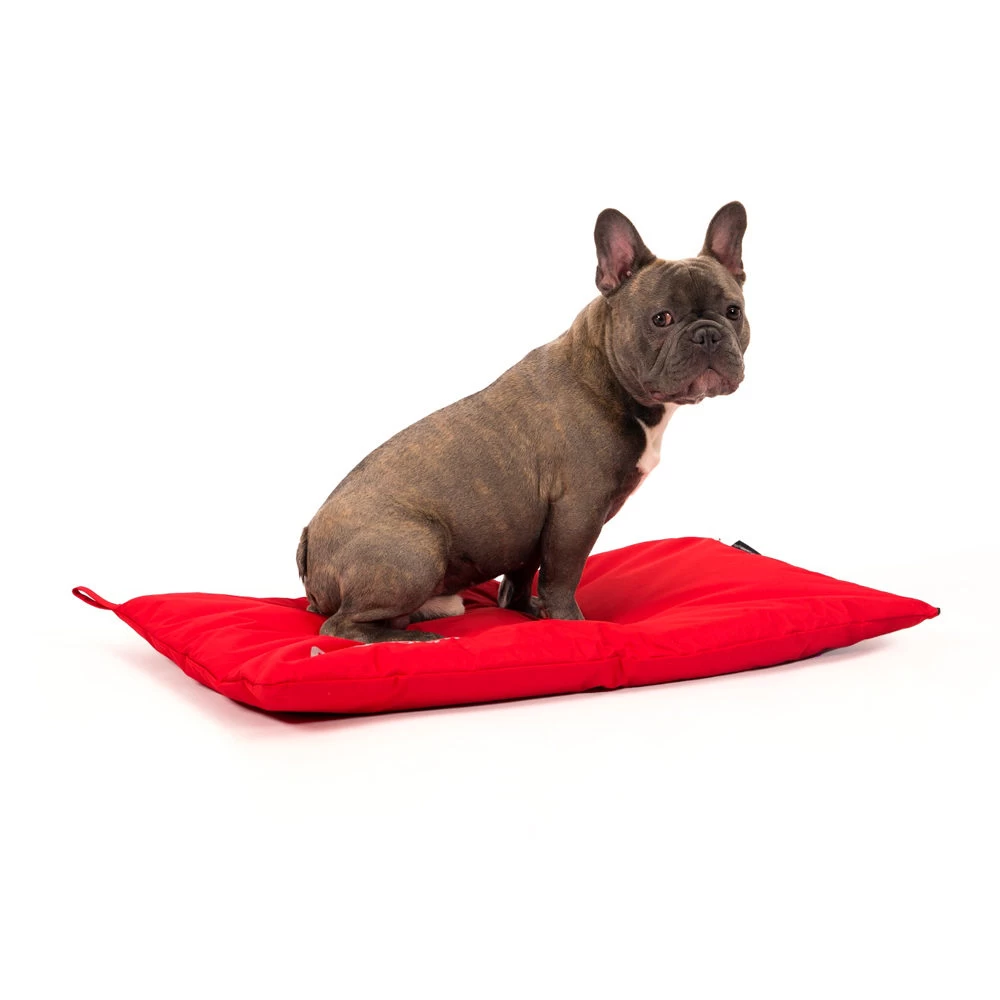 51 Degrees North Storm Bench Hondenkussen - Afbeelding 20