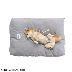 51 Degrees North Sweater Boxpillow -Happy Paws Verkoop 51 degrees north sweater boxpillow 209240 1000 none