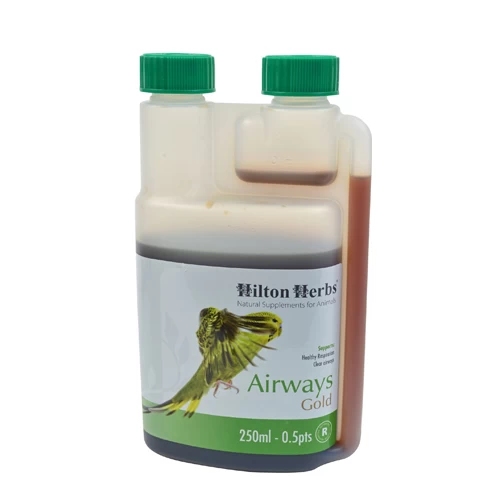 Hilton Herbs Airways Gold For Birds 5 Hilton Herbs Airways Gold For Birds - Afbeelding 5