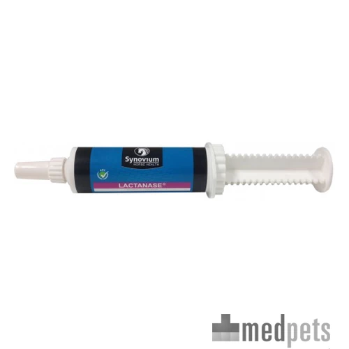 Synovium Lactaplus Pasta 3 Synovium Lactaplus Pasta - Afbeelding 3