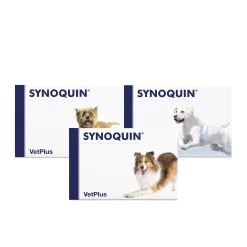 Vetplus Synoquin 9 Vetplus Synoquin -Happy Paws Verkoop 65bLj7CCHqSsT3ugOvavvMhcREmwCf metaQ29tYmktU3lub3F1aW4uanBn