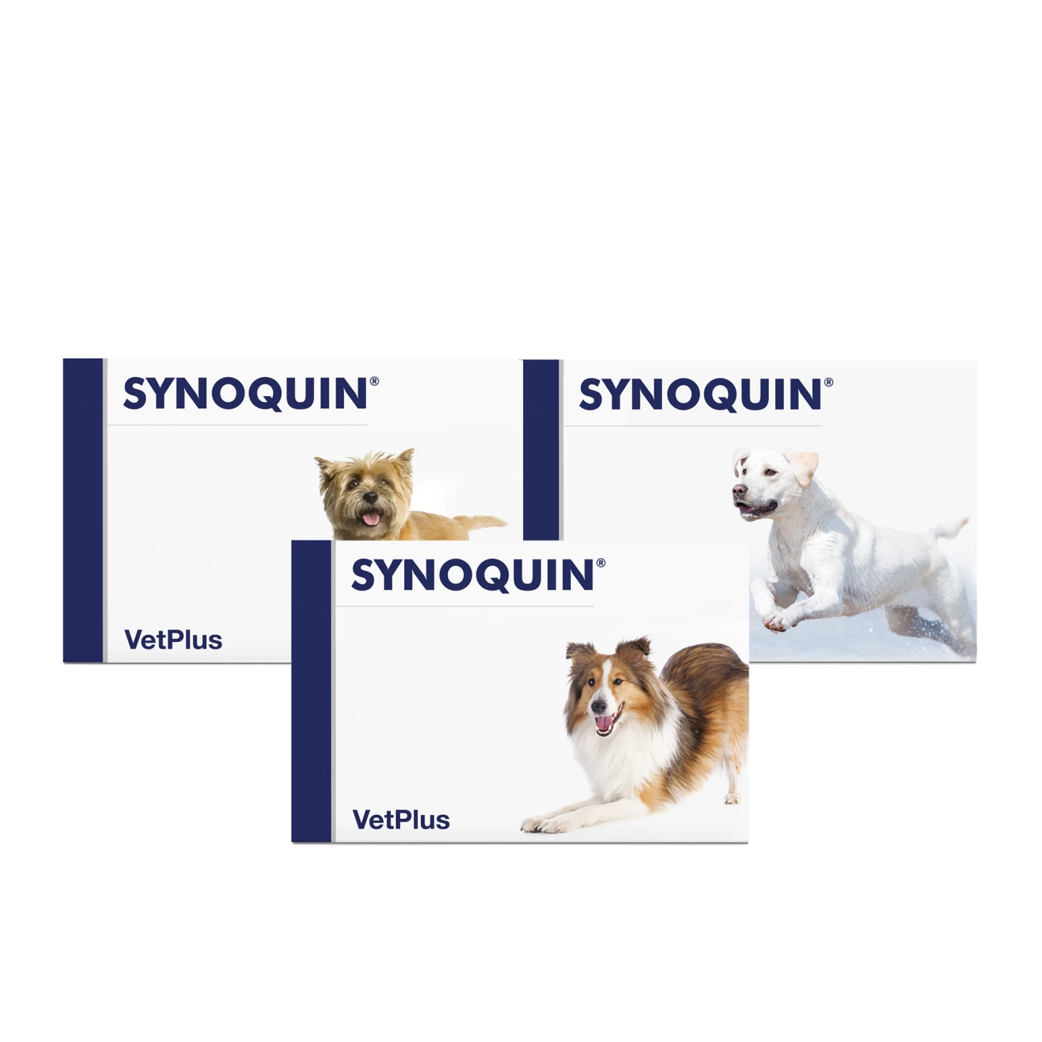 Vetplus Synoquin 3 Vetplus Synoquin - Afbeelding 3