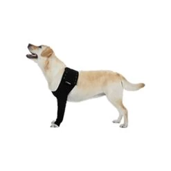 Suitical Recovery Sleeve 14 Suitical Recovery Sleeve -Happy Paws Verkoop 8501e2b3c6d9ca9a674bb151ba6ec60f30e553aee7479125447d4dd96bec98ce 3