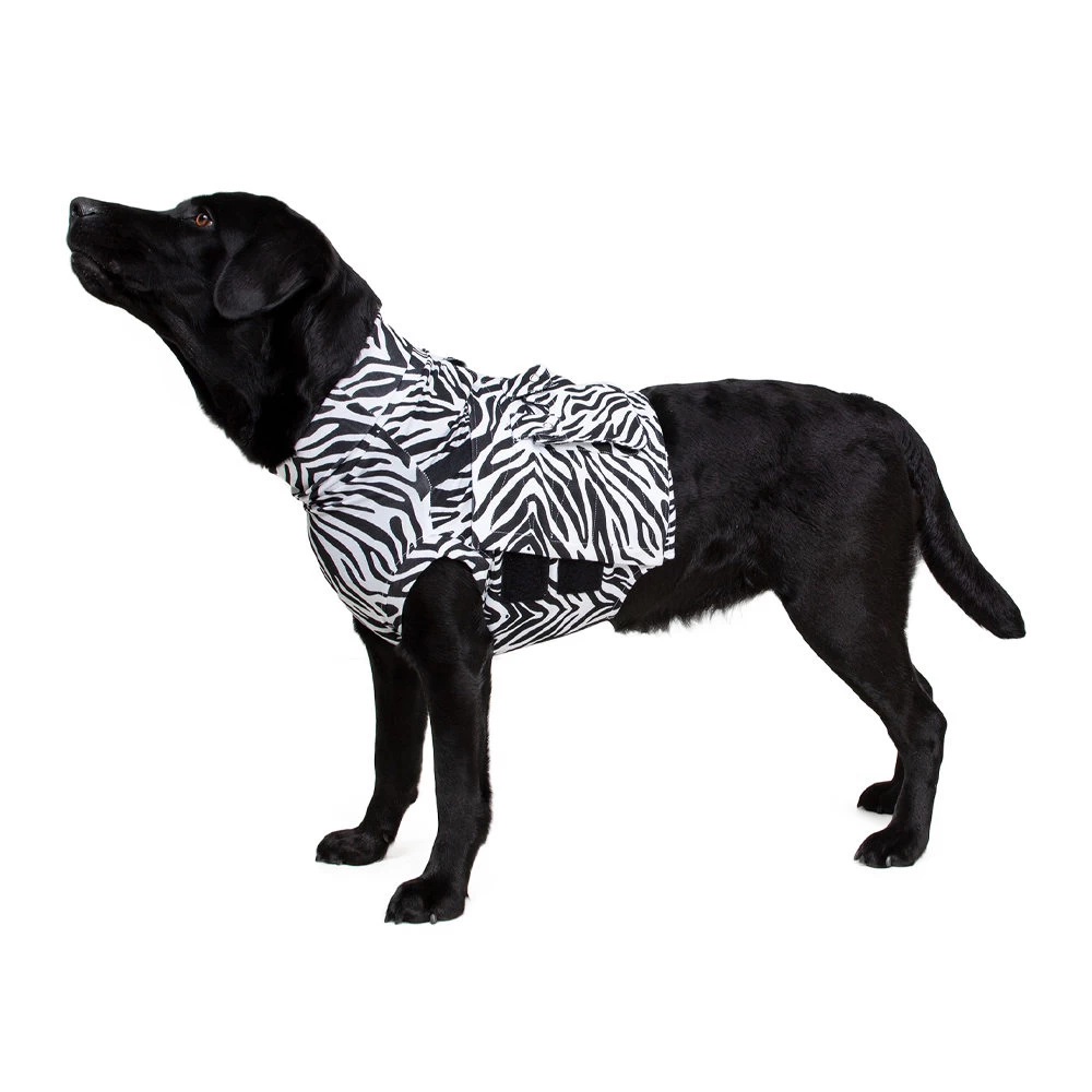 Medical Pet Top Shirt - Zebraprint 2 Medical Pet Top Shirt - Zebraprint - Afbeelding 2