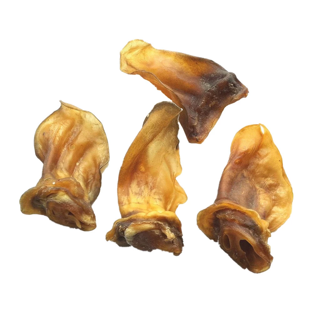 Competition Lamsoren 1 Competition Lamsoren