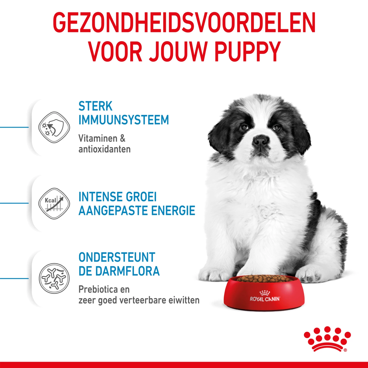Royal Canin Giant Puppy - Hondenvoer 6 Royal Canin Giant Puppy - Hondenvoer - Afbeelding 6