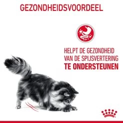 Royal Canin Digestive Care In Gravy - Kattenvoer 18 Royal Canin Digestive Care In Gravy - Kattenvoer -Happy Paws Verkoop ArELC5MRoxiyJSCYOslvuIRNg5AVhp metaUm95YWwtQ2FuaW4tRGlnZXN0aXZlLUNhcmVfMDEuanBn