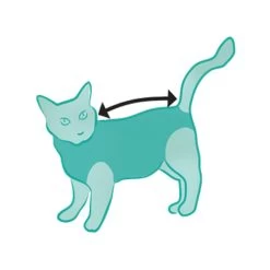 Suitical Recovery Suit Kat -Happy Paws Verkoop DyRL8fhSRm4Wf5AgwbiqB50D0Rd4rc metac3VpdGljYWxfcmVjb3Zlcnlfc3VpdF9rYXRfMjAyNTIzXzA1MDBfbm9uZS5qcGc