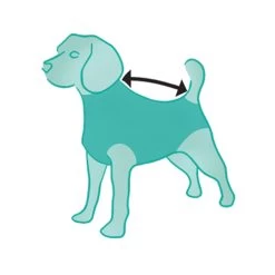 Suitical Recovery Suit Hond - Camouflage 17 Suitical Recovery Suit Hond - Camouflage -Happy Paws Verkoop ILtF02kyXAnbRr88QvQ12b6rufTPVq metacHJvZHVjdF9yZWNvdmVyeV9zdWl0X2hvbmRfbWVkcGV0c180XzE0MTQ1NjgzNTZfOTA2OS5qcGc