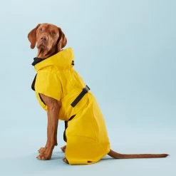 PAIKKA Visibility Raincoat Lite Yellow -Happy Paws Verkoop PClMHEr7OU9sOGs5uS5yRaglBqAzmp metaUGFpa2thLVZpc2liaWxpdHktUmFpbmNvYXQtTGl0ZS1ZZWxsb3czLmpwZw