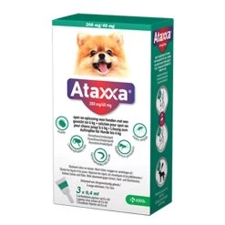 Ataxxa 28 Ataxxa -Happy Paws Verkoop PlMgHYrapgs3AN0ZsE4fkzI6fGrwJC metadG90LTQta2cuanBn