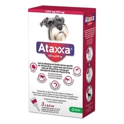 Ataxxa 32 Ataxxa -Happy Paws Verkoop S40n6d21DzYQHtLa7xvz3dTp8Pk0OA metaMTAtMjUta2cuanBn