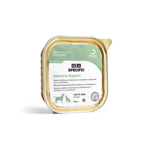 Specific Intensive Support 1 Specific Intensive Support