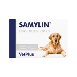 Vetplus Samylin - Tabletten -Happy Paws Verkoop TMpWTAiSQVnLBFciegVunVUDv8tzTF metadmV0cGx1c19zYW15bGluXzIwNDUxOF8wNTAwX25vbmUucG5n