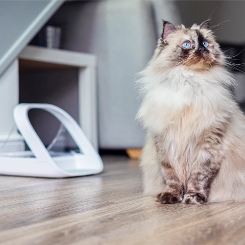 Surefeed Connect Microchip Voerautomaat 7 Surefeed Connect Microchip Voerautomaat - Afbeelding 7