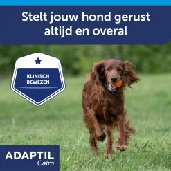 Adaptil Halsband -Happy Paws Verkoop ZlmrunwOO24idNwMXR53mReHPodTCe metaQWRhcHRpbC1jYWxtLWNvbGxhci1DYXJvdXNzZWwtNy5qcGc
