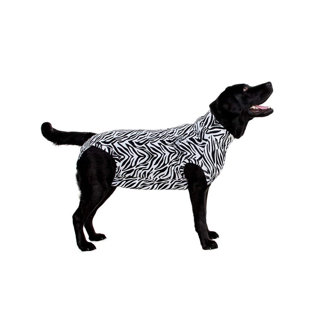 Medical Pet Shirt Hond Zebra Print 2 Medical Pet Shirt Hond Zebra Print - Afbeelding 2