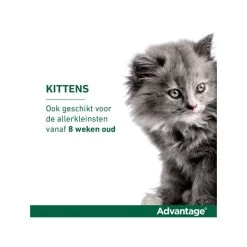 Advantage Kat -Happy Paws Verkoop advantage kat 174052 0500 none