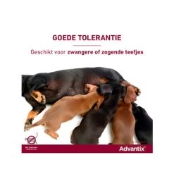 Advantix 39 Advantix -Happy Paws Verkoop advantix 174214 0500 none