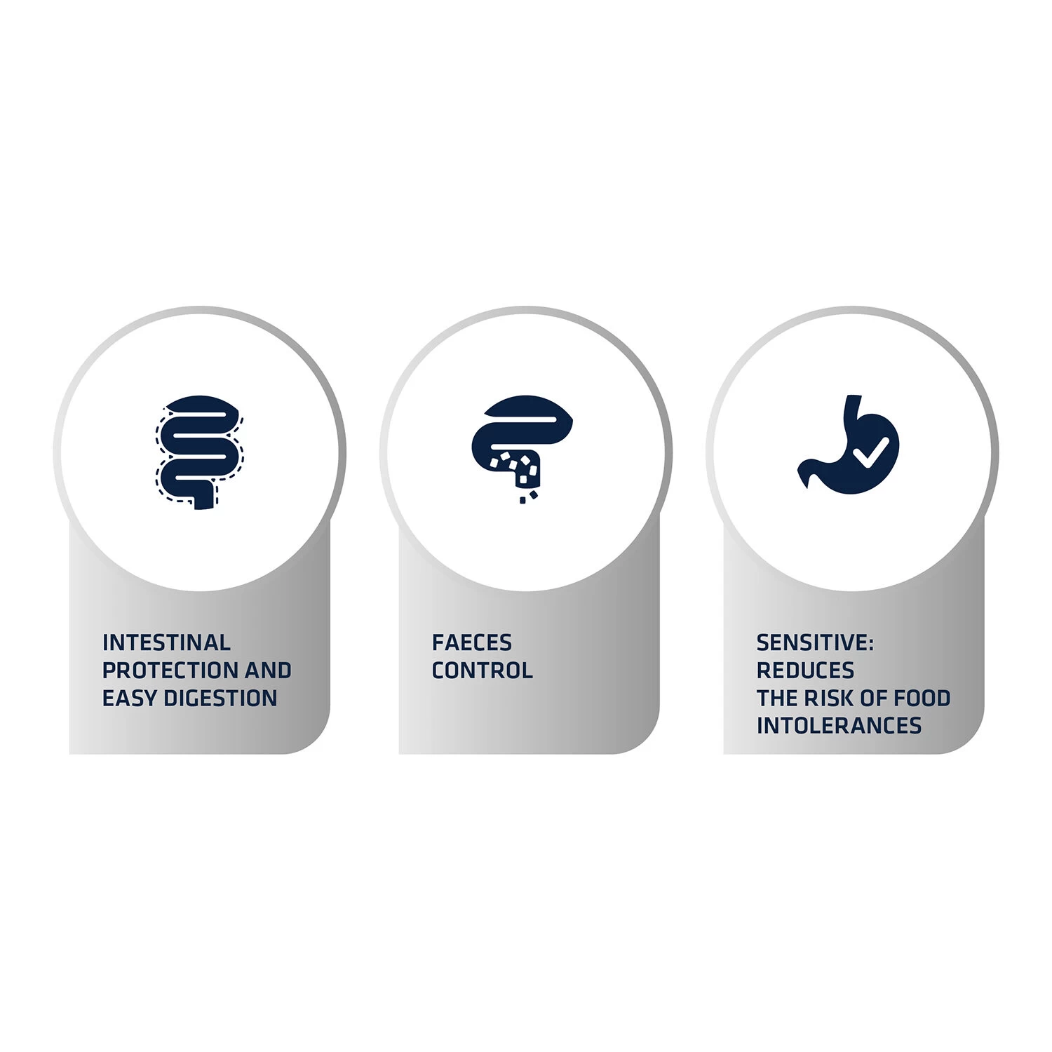 Affinity Advance Veterinary Diets Gastroenteric Sensitive Kat 4 Affinity Advance Veterinary Diets Gastroenteric Sensitive Kat - Afbeelding 4