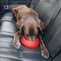 Kurgo Splash Free Wander Water Bowl 13 Kurgo Splash Free Wander Water Bowl -Happy Paws Verkoop altranet splash free wander water bowl 222778 0500 none