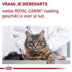 Royal Canin VCN - Mature Consult Balance - Cat - Maaltijdzakje 9 Royal Canin VCN - Mature Consult Balance - Cat - Maaltijdzakje -Happy Paws Verkoop auqYuMrpG2AEQj9IgtKtDMGtV3YXT4 metaTUFUVVJFLUNPTlNVTFQtQkFMQU5DRS04LmpwZw