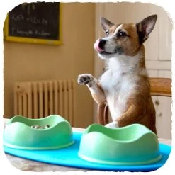 Beco Non Slip Placemat 10 Beco Non Slip Placemat -Happy Paws Verkoop beco non slip placemat 135880 0500 none