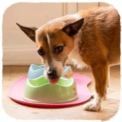 Beco Non Slip Placemat 11 Beco Non Slip Placemat -Happy Paws Verkoop beco non slip placemat 135883 0500 none