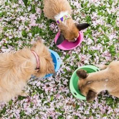 Beco Travel Bowl -Happy Paws Verkoop beco travel bowl 136390 2000 none