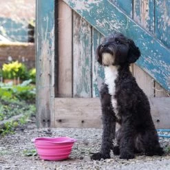 Beco Travel Bowl -Happy Paws Verkoop beco travel bowl 136393 2000 none