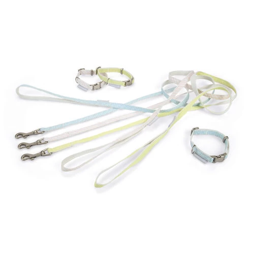 Beeztees Halsband & Lijn 6 Beeztees Halsband & Lijn - Afbeelding 6