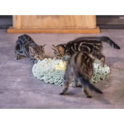 Beeztees Kitten Snuffelmat Flowie -Happy Paws Verkoop beeztees kitten snuffelmat flowie 216526 2000 none