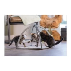 Beeztees Kitten Speelkleed Xabia -Happy Paws Verkoop beeztees kitten speelkleed xabia 216531 2000 none