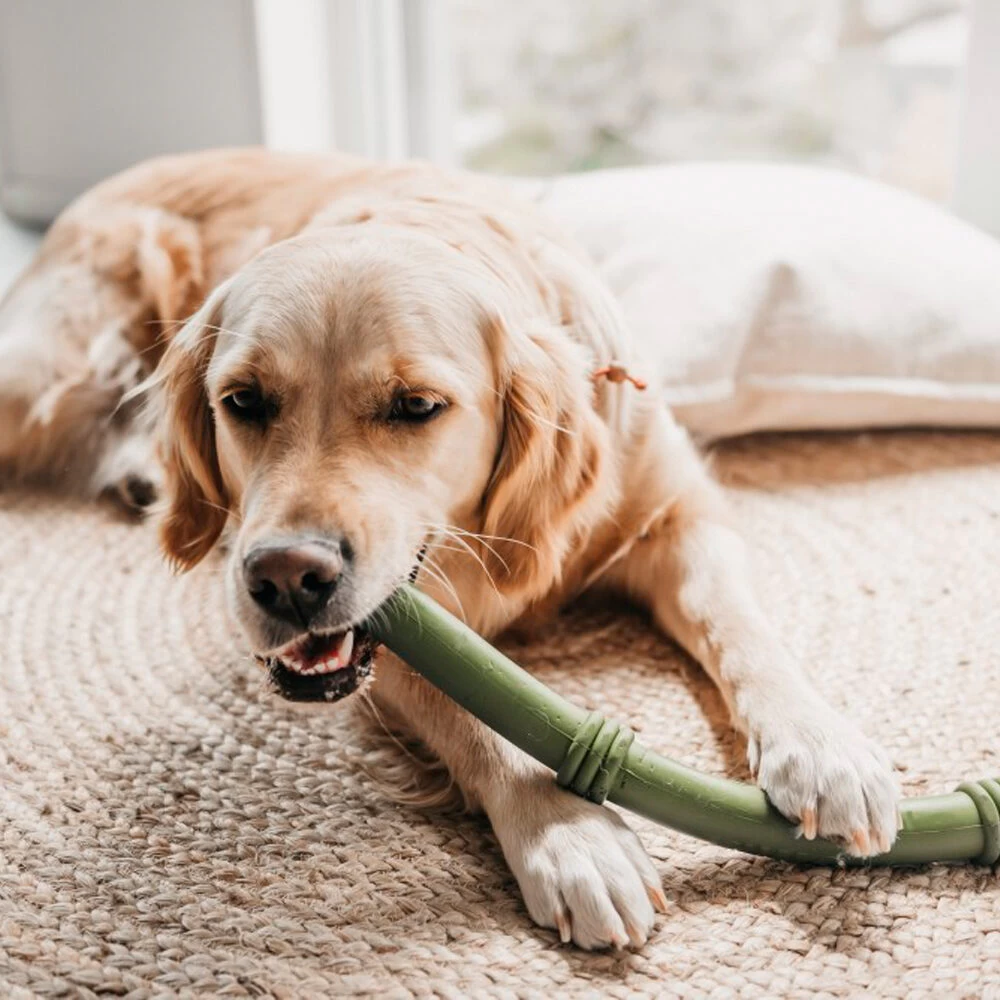 Beeztees Sumo Fit Stick 5 Beeztees Sumo Fit Stick - Afbeelding 5