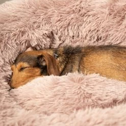 Beeztees Yali Pluche Donutmand -Happy Paws Verkoop beeztees yali pluche donutmand 216351 1000 none