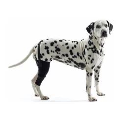 Kruuse Rehab Kniebeschermer -Happy Paws Verkoop cdca15870880a4df980fb86fda5f7c0c92c1a945ab52a9f5b2890079370ebd07 3