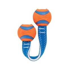Chuckit! Ultra Duo Tug 9 Chuckit! Ultra Duo Tug -Happy Paws Verkoop chuckit ultra duo tug 122954 0500 none