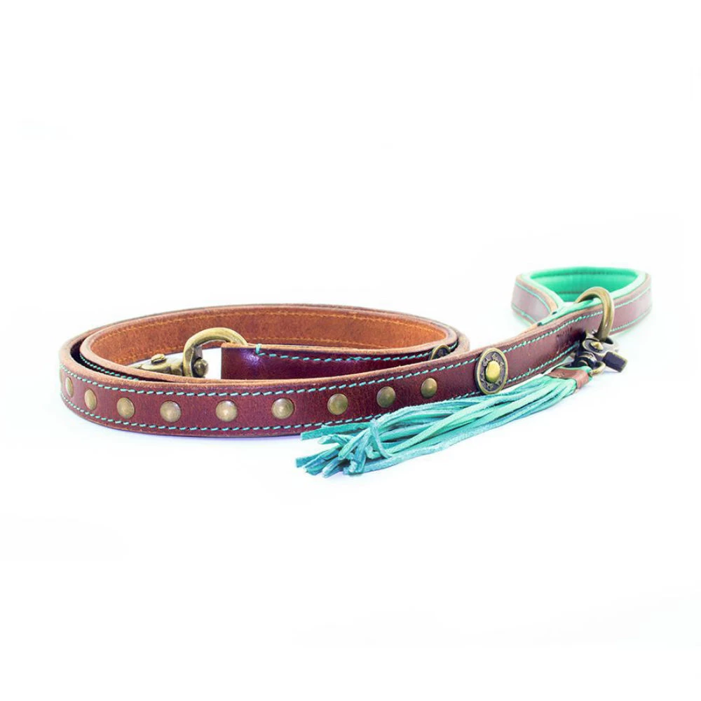 DWAM Hondenriem Joe 1 DWAM Hondenriem Joe