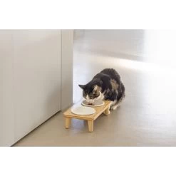 Designed By Lotte Dinnerset Djeha -Happy Paws Verkoop designed by lotte dinnerset djeha 222734 2000 none